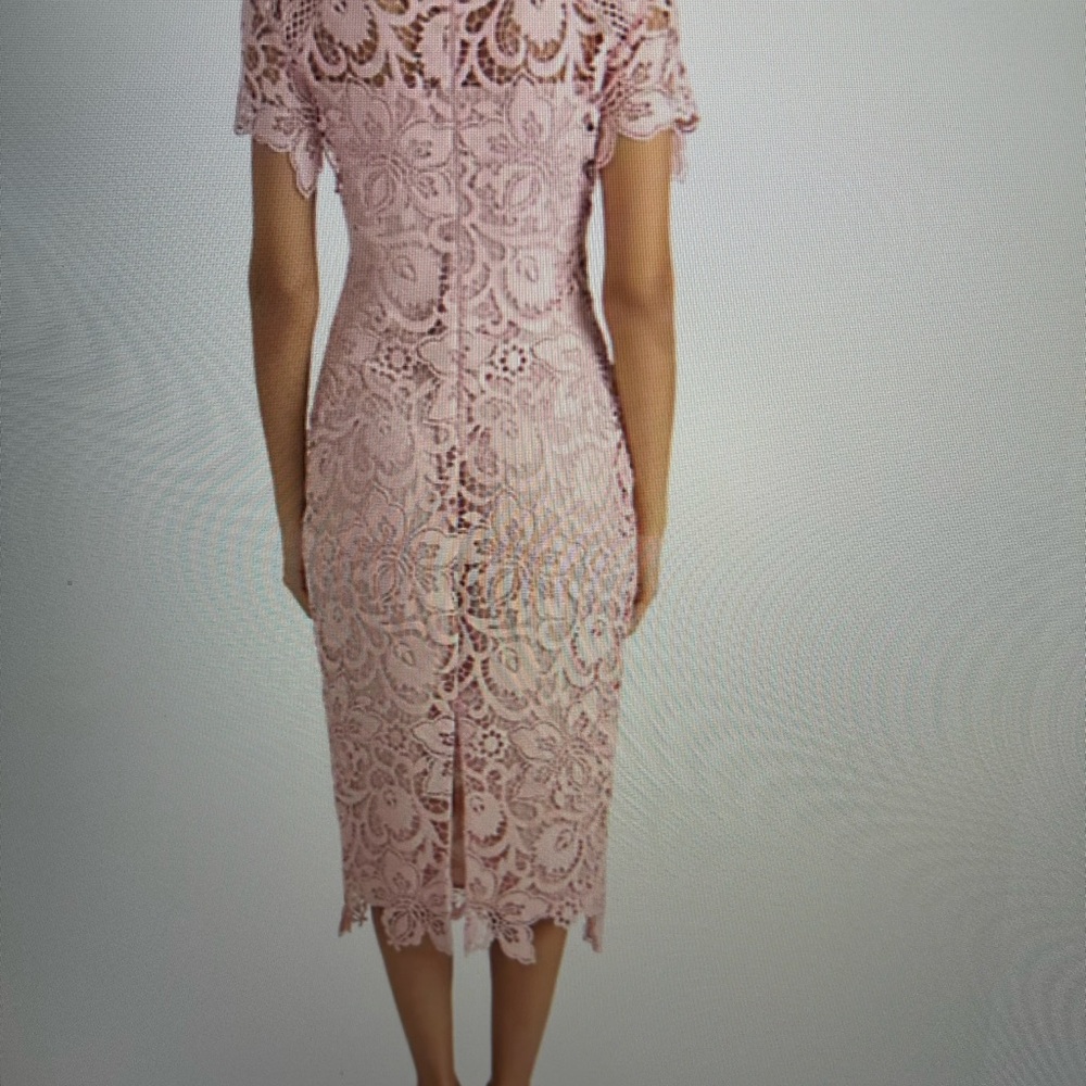 Shoshanna Elegant BLUSH Lace Sheath Dress